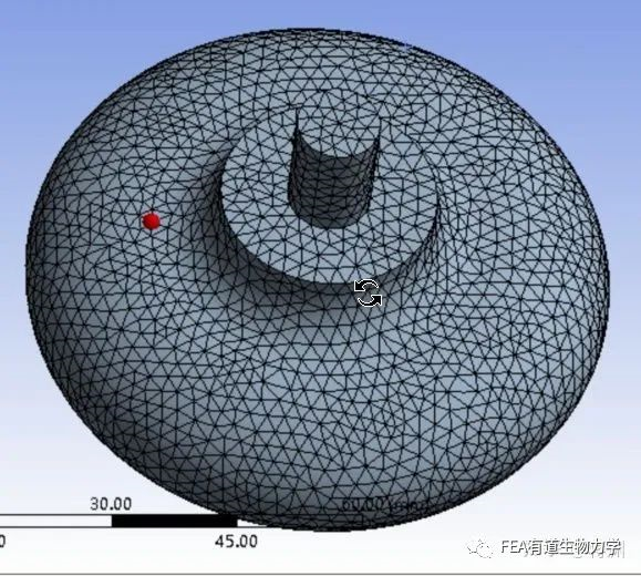 ansys显示荷载及约束